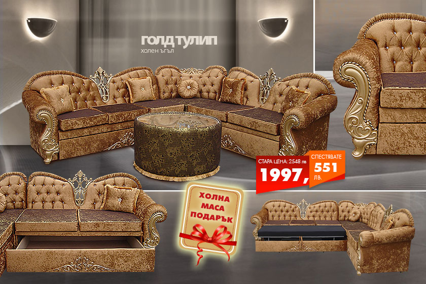 Холен ъгъл Голд тулип