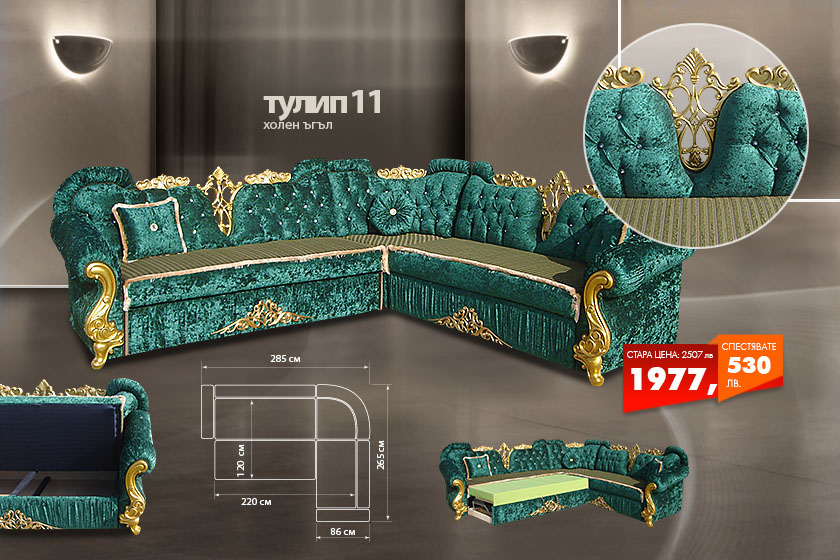 Холен ъгъл Тулип 11